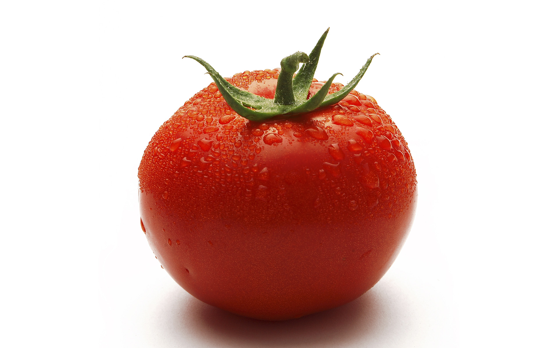 Food — frame 15
