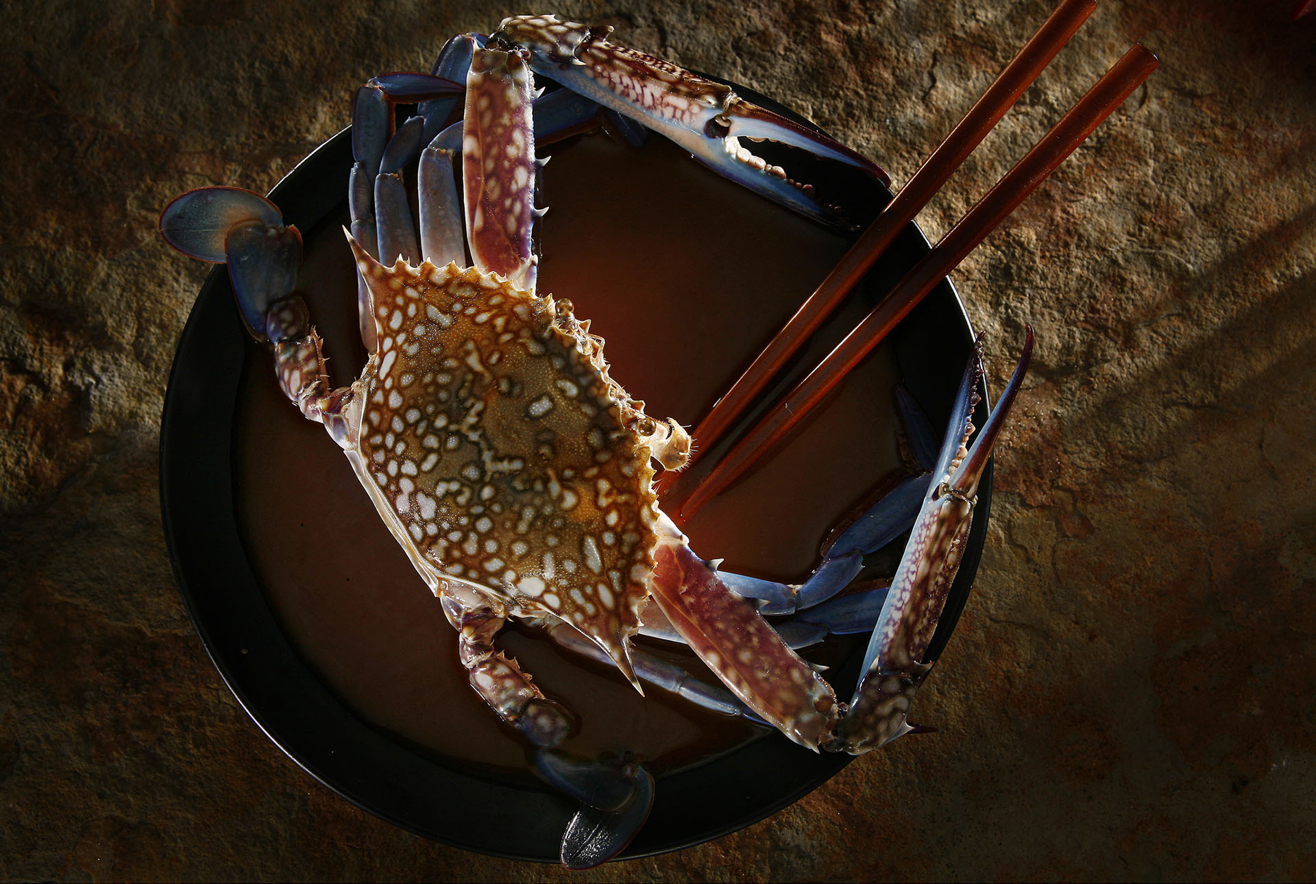 Food — frame 17