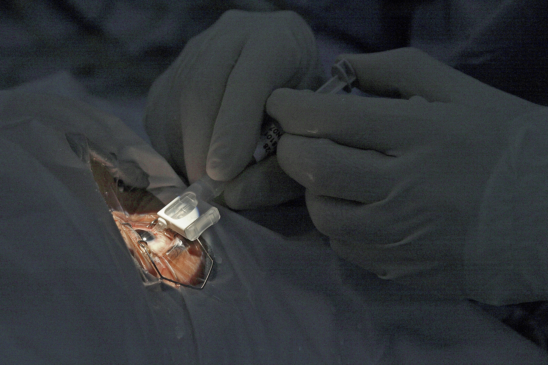 Health Care — frame 37