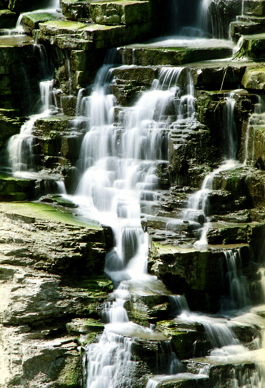 Nature