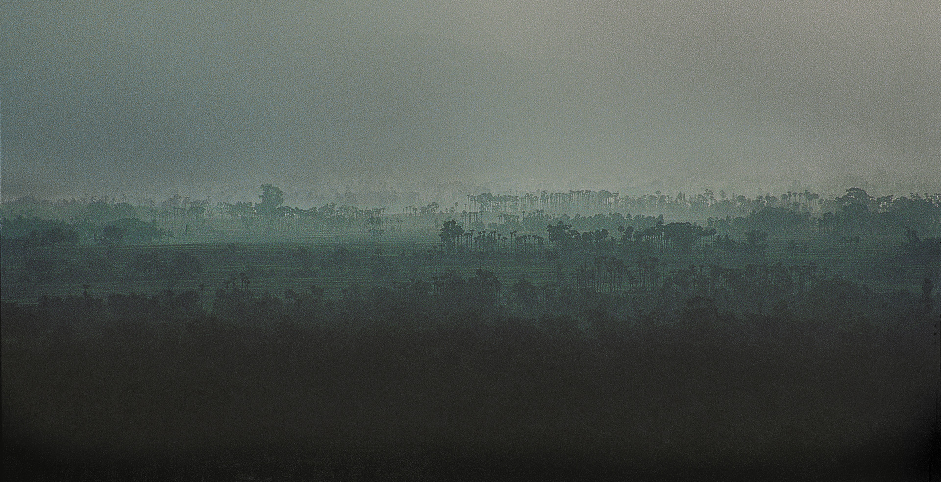 Nature — frame 14