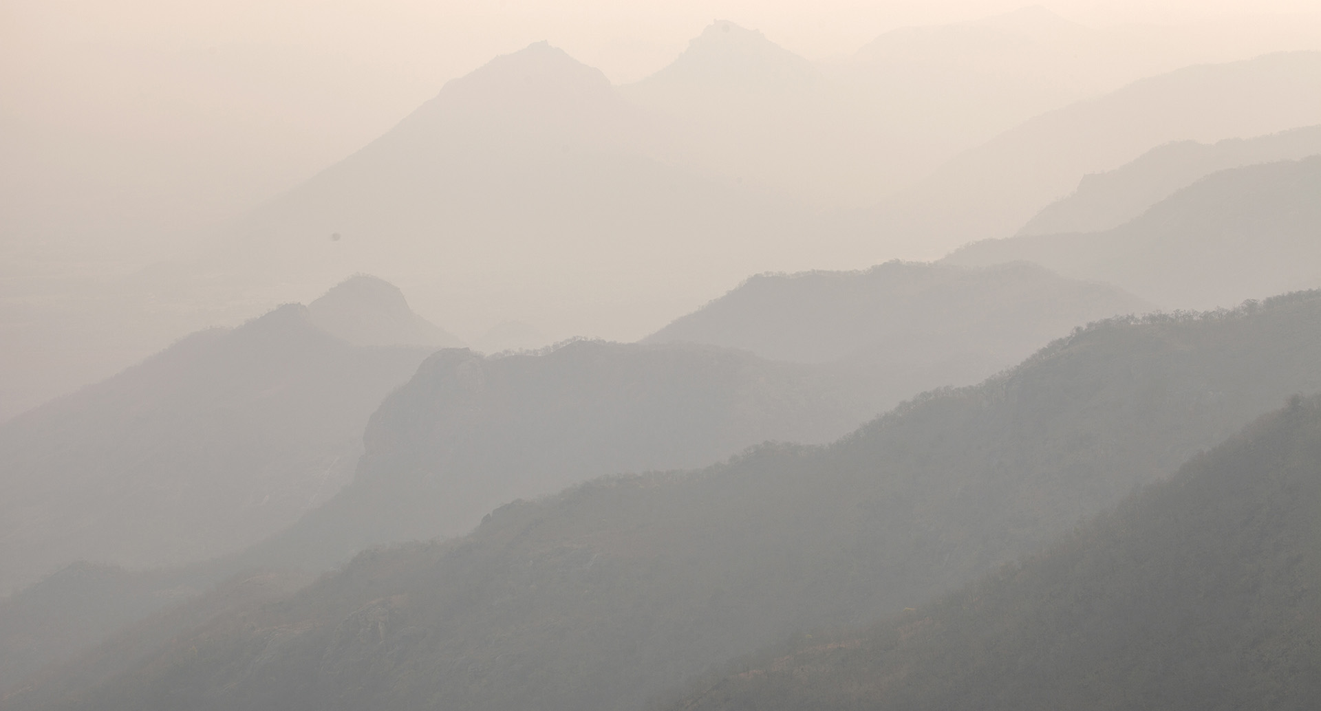 Nature — frame 17