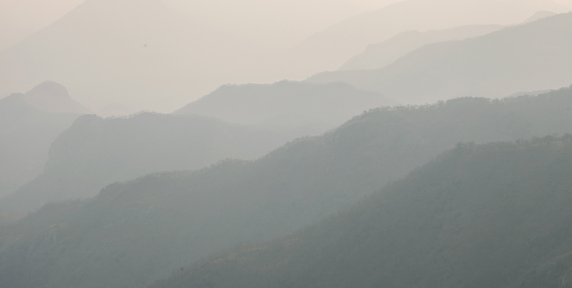 Nature — frame 18
